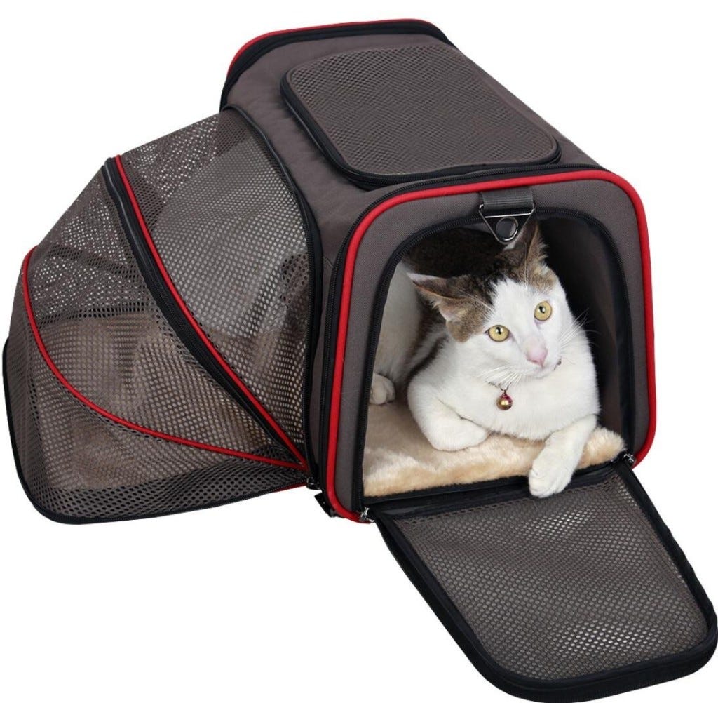 cat carrier with built in litter tray