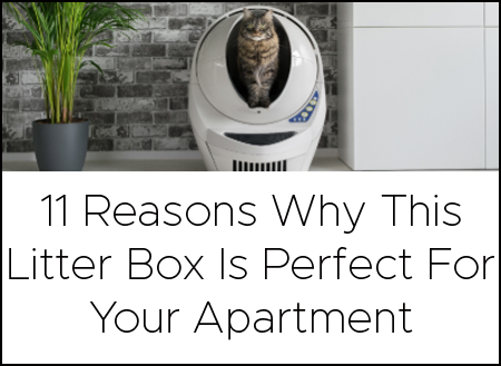 This litter box is perfect for your apartment