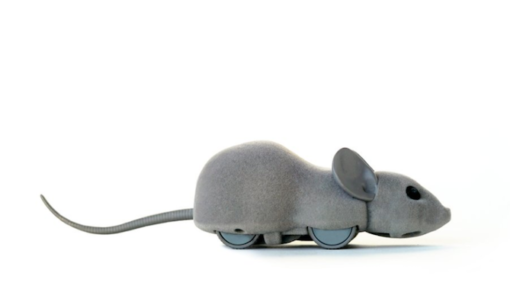 robotic mouse cat toy