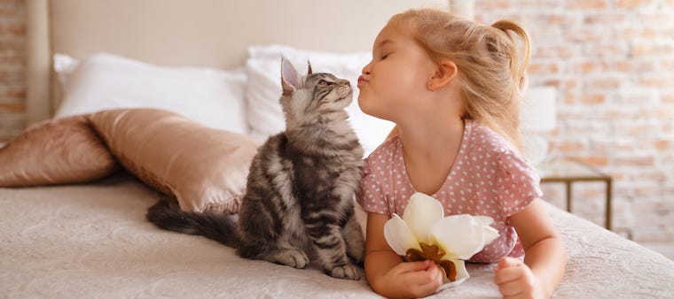 best cats for kids