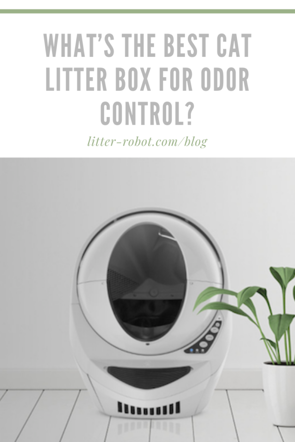 beige Litter-Robot 3 Connect next to a plant - what's the best cat litter box for odor control?