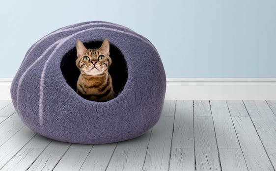 Gato de Bengala en un nido de gato cama de gato