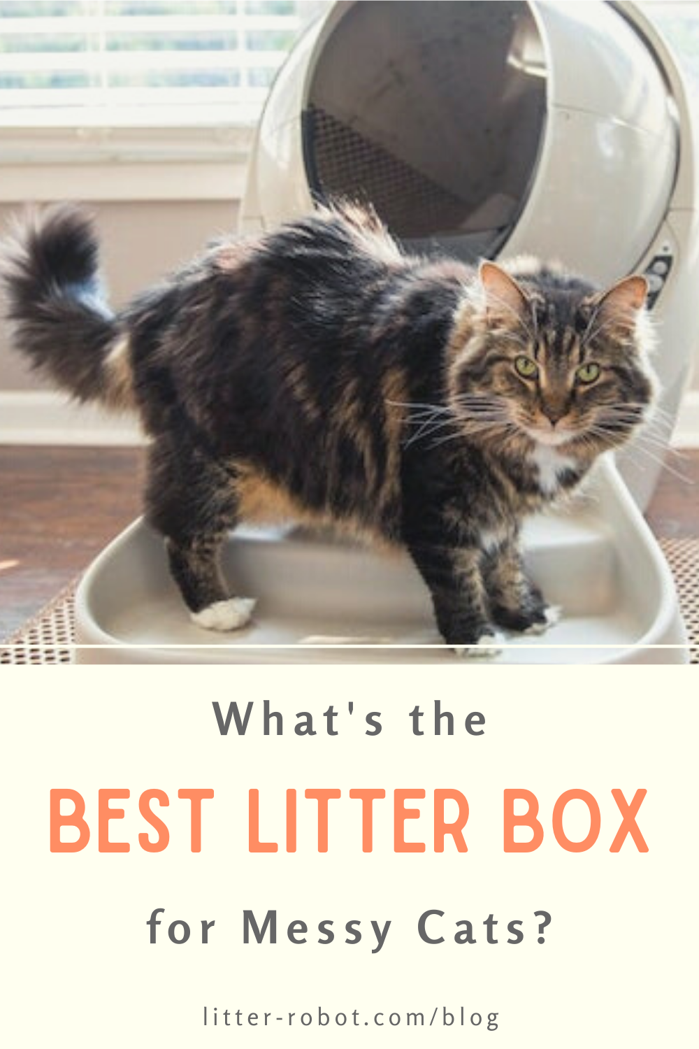 Best Litter Box for Cats With Messy Habits LitterRobot Blog