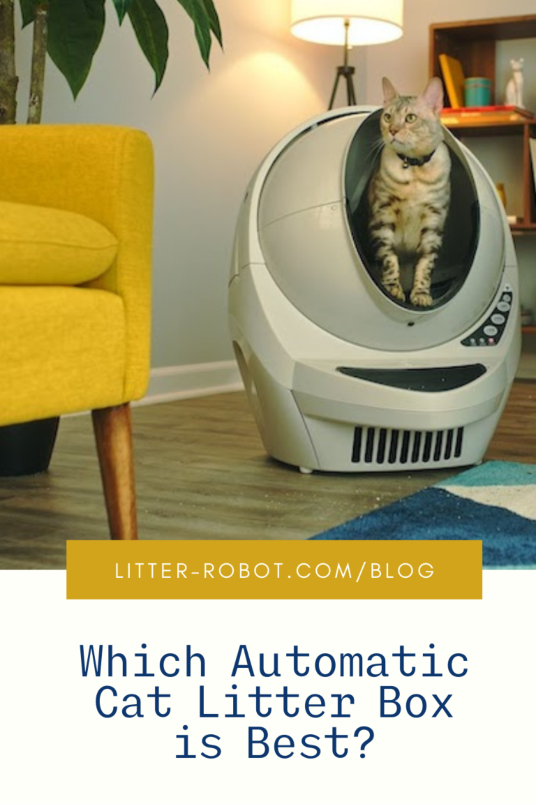 Best Automatic Cat Litter Box LitterRobot Blog