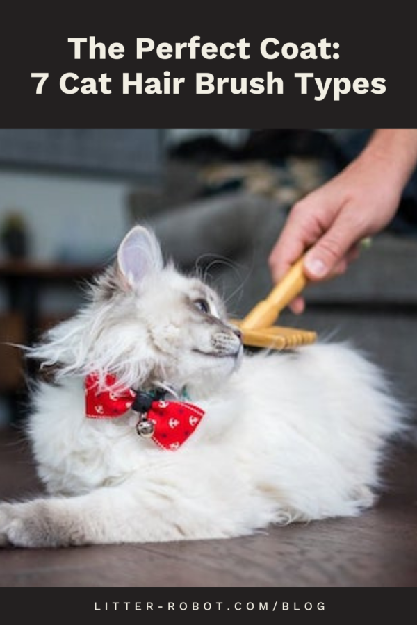chat blanc à poil long se faisant soigner avec une brosse à chat plus lisse - 7 types de brosses à poils de chat