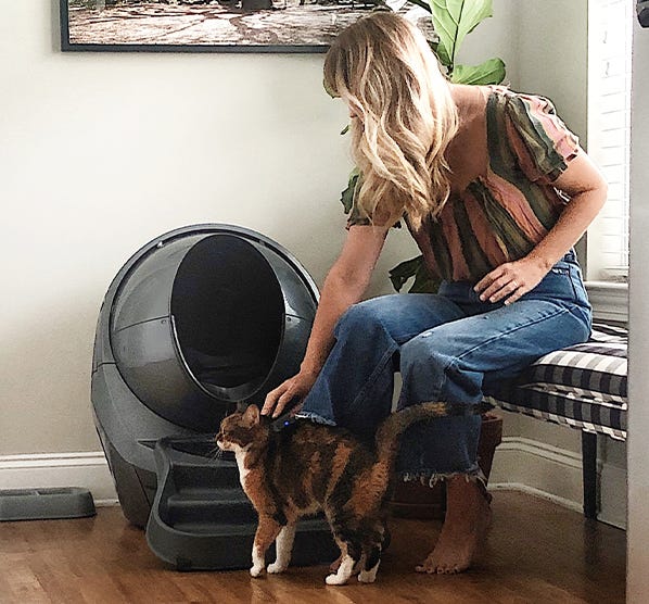 Woman petting cat in front of Litter-Robot 3 Connect