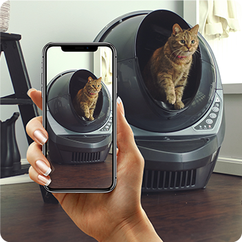Cell phone with cat and Litter-Robot