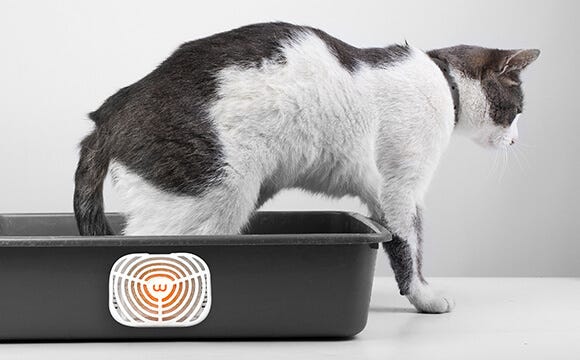 Rabbit Litter Box Odor Control Systems photo