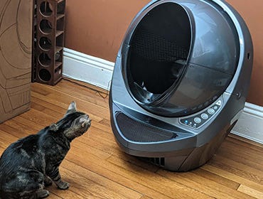 Cat looking at Litter-Robot