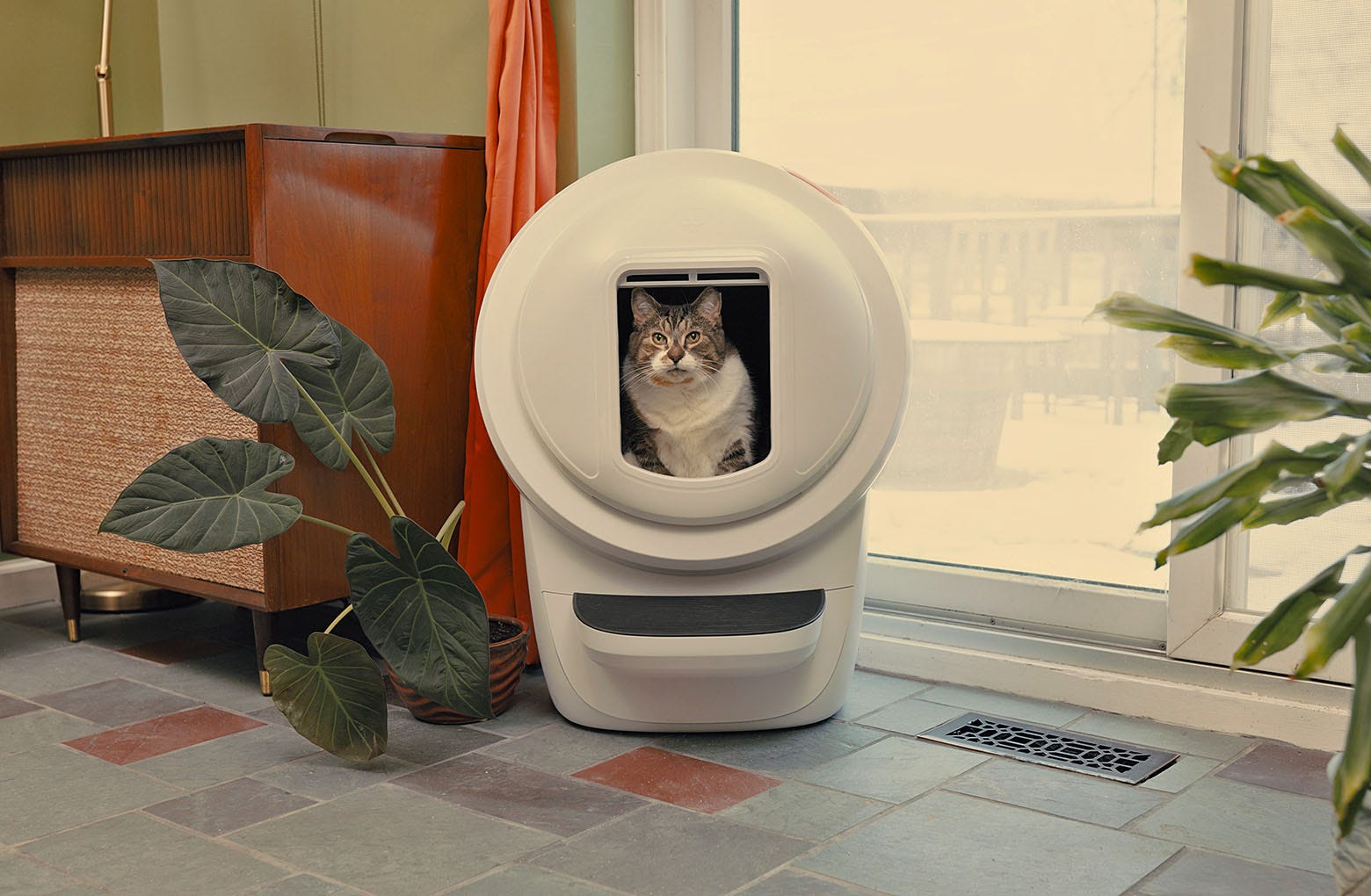Eine getigerte Katze in einem Litter-Robot 4, der mit dem Litter-Robot-Schild ausgestattet ist