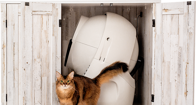 Cat in front of Litter-Robot and credenza