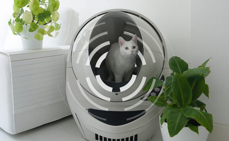 Cat in Litter-Robot