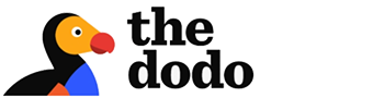 The Dodo logo