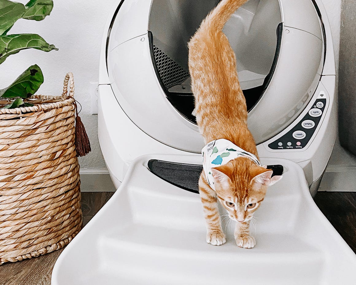 LitterRobot 3 Ramp Cat Litter Box Accessories LitterRobot