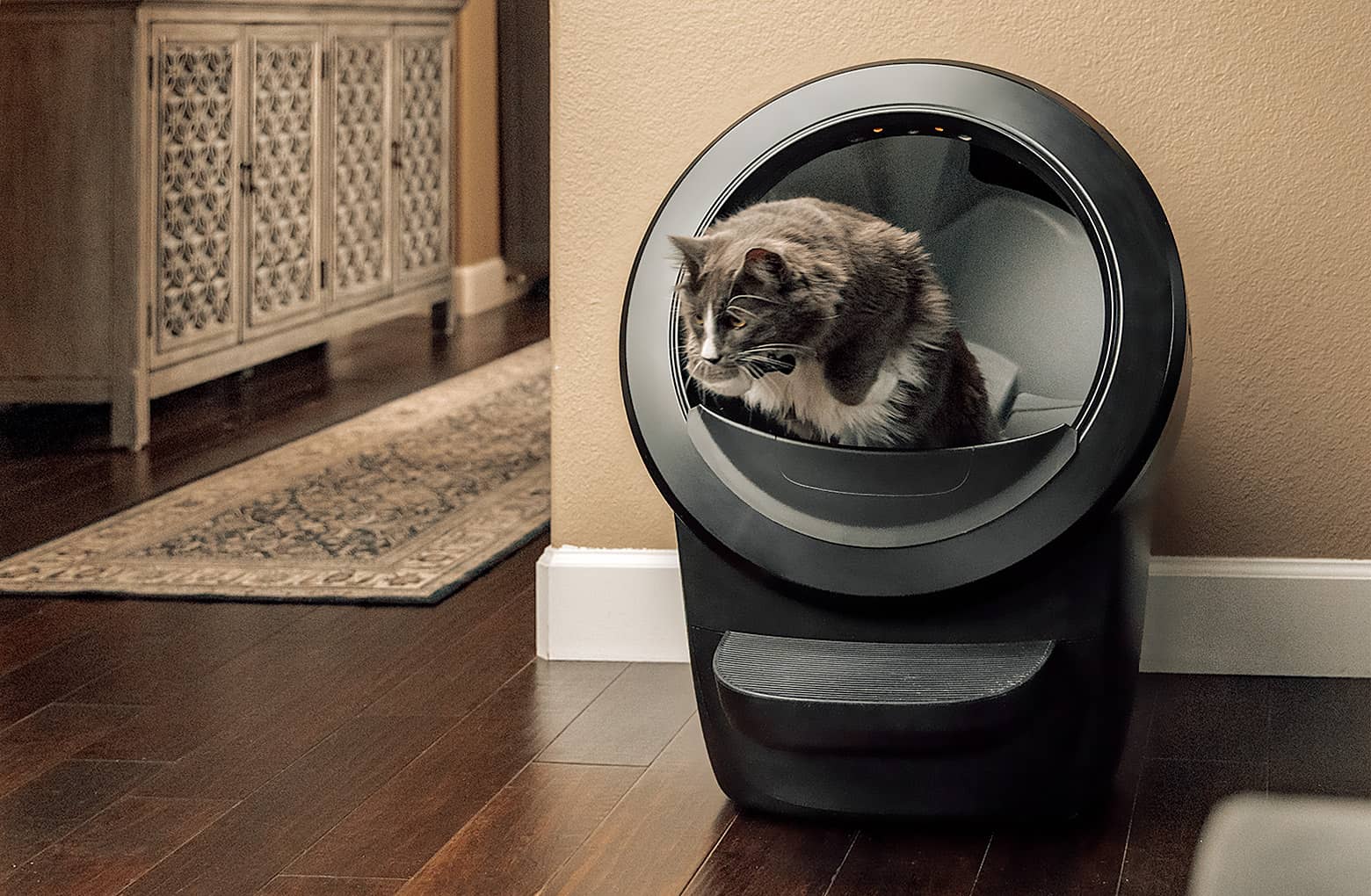 Litter robot 4 and fence
