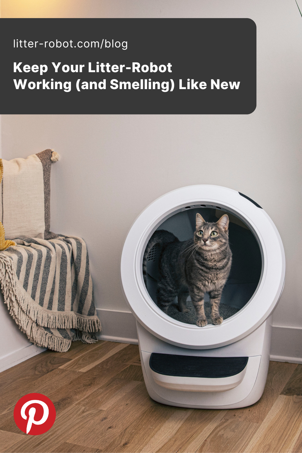 keep Litter-Robot working and smelling like new pinterest pin