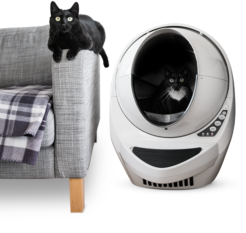 litter robot multiple cats