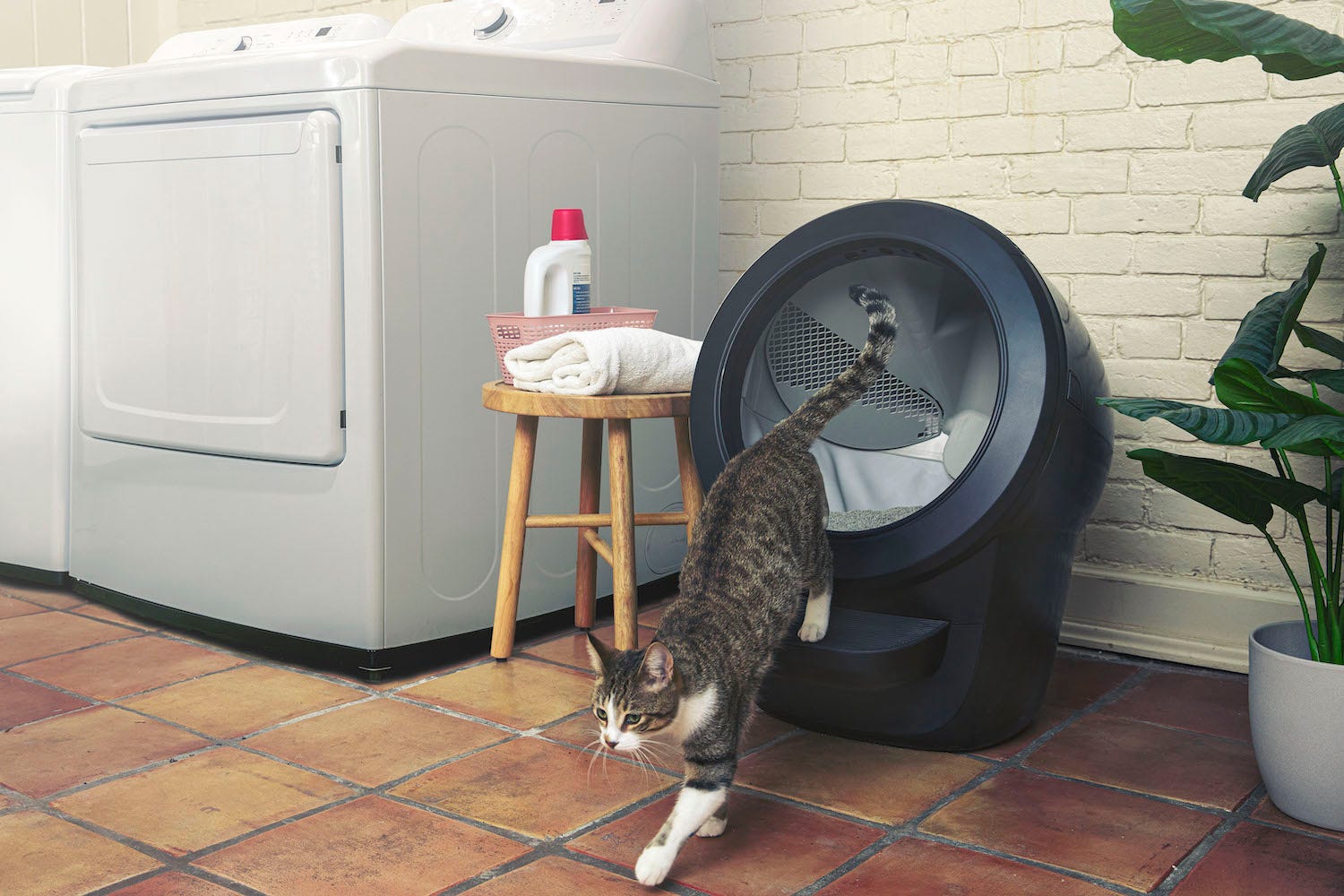 tabby cat exiting Litter-Robot 4 in laundry room