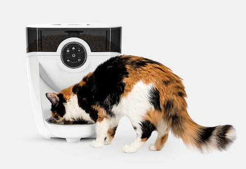 Calico cat eating from automatic pet feeder, Feeder-Robot