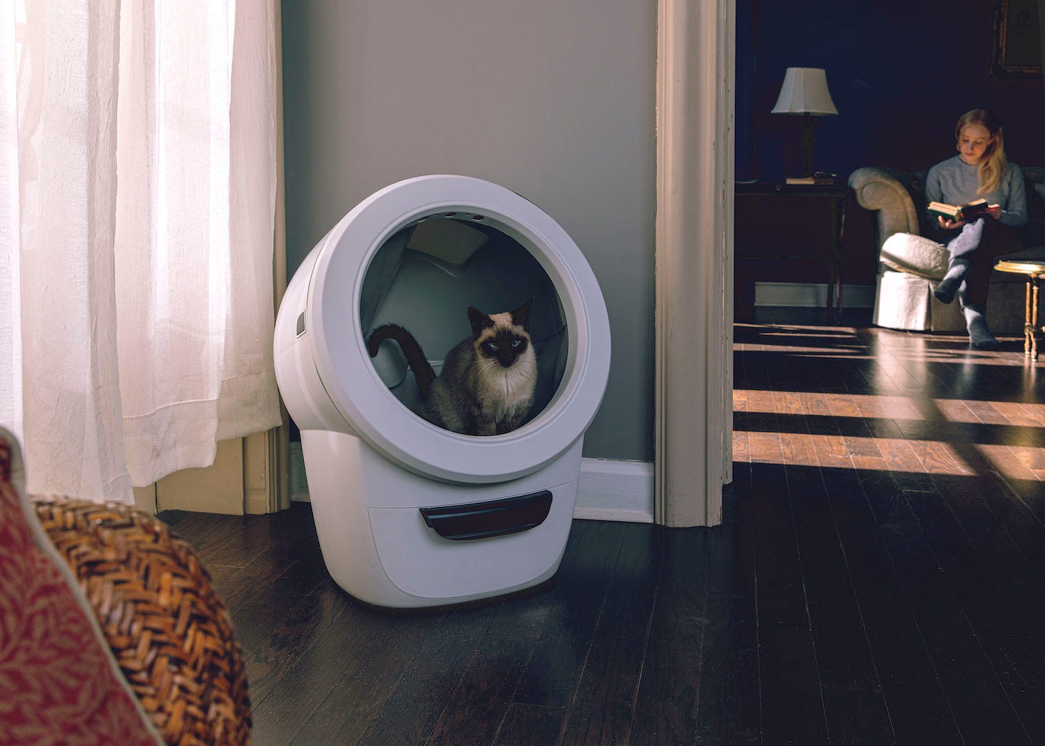 Siamese cat using white Litter-Robot 4 with woman reading in background