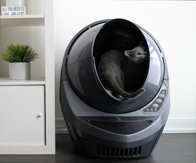 grey cat inside grey Litter-Robot self-cleaning litter box