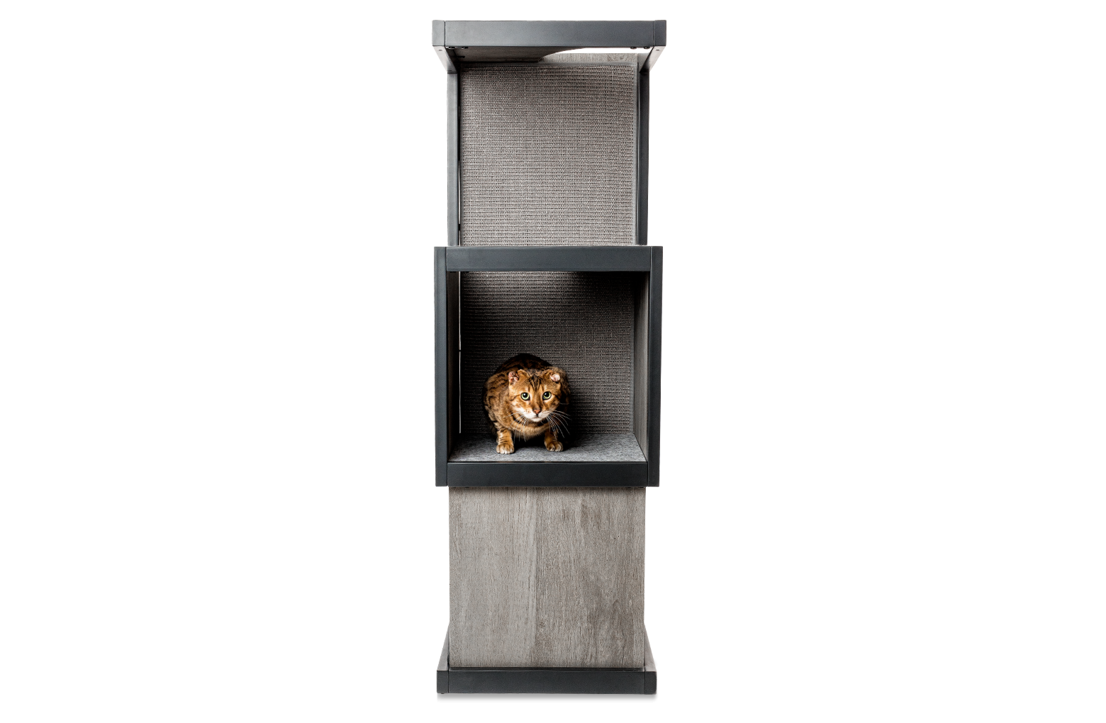 Cat Tower Woodgrain