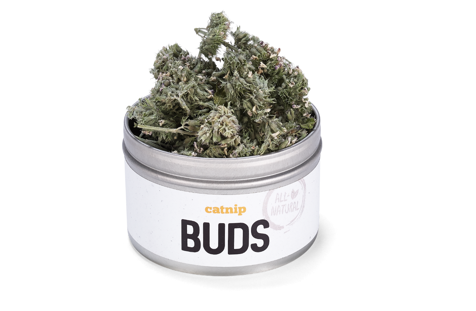 Catnip: Buds | Opened