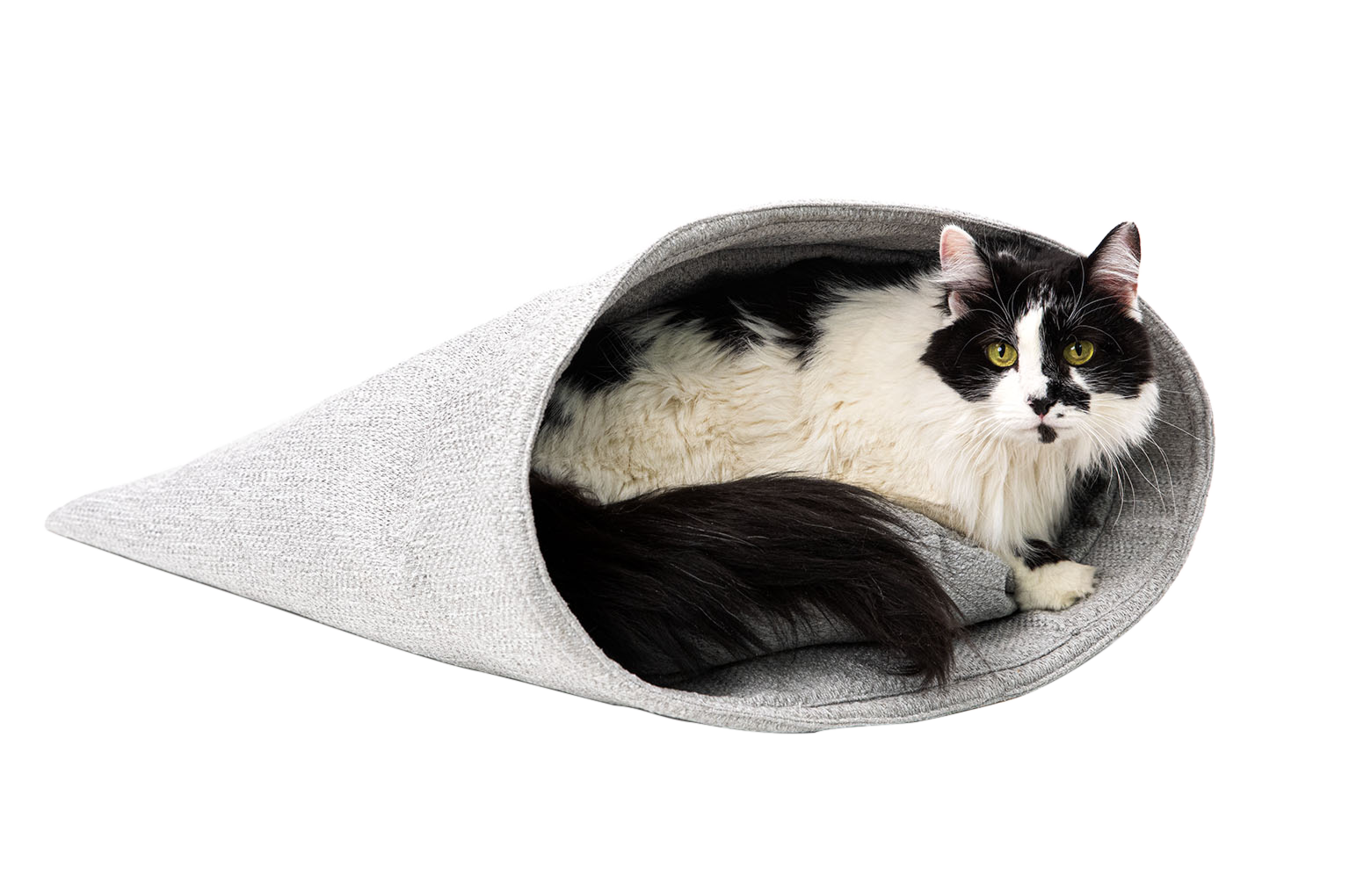 tuxedo longhaired cat in fancy cat sac