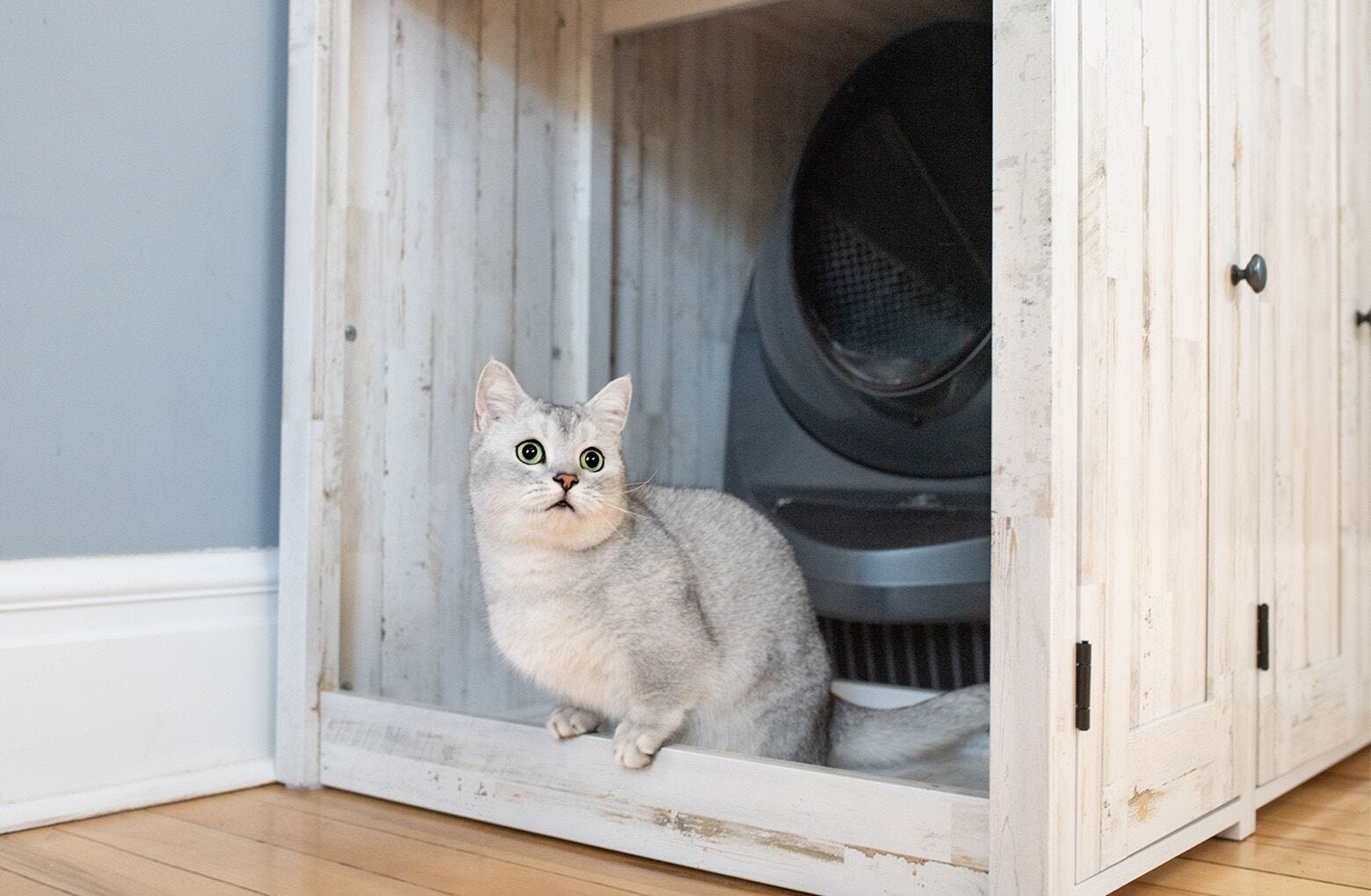 LitterRobot 3 Connect Coastal Credenza Bundle