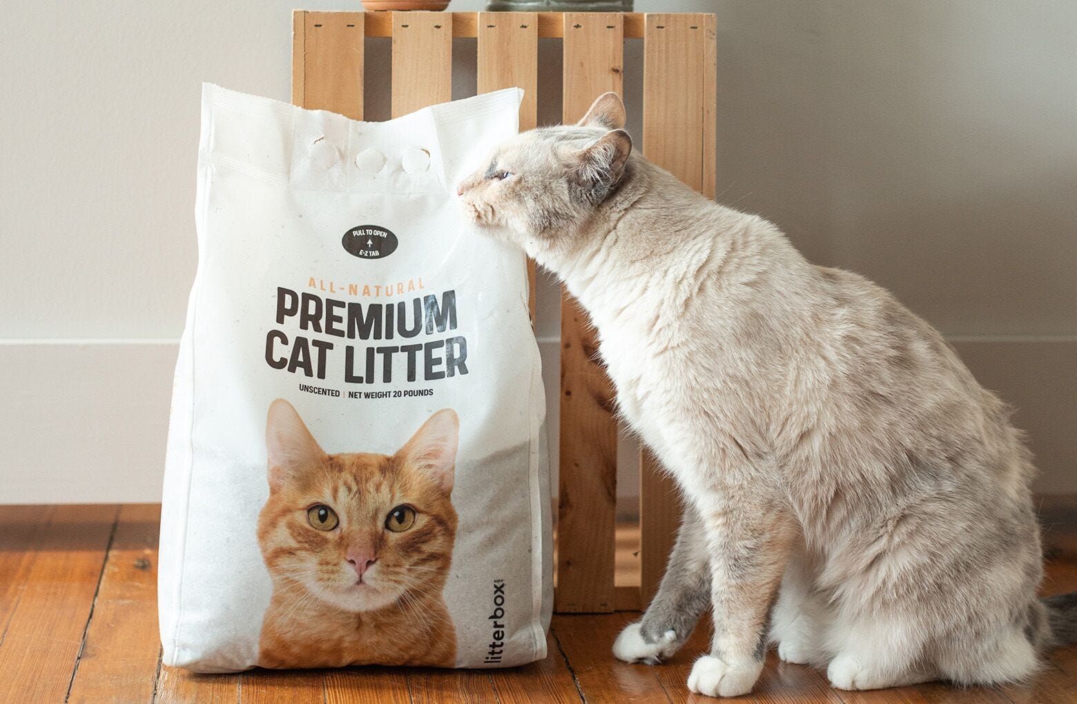 Grey cat next to a 20 pound bag of cat litter