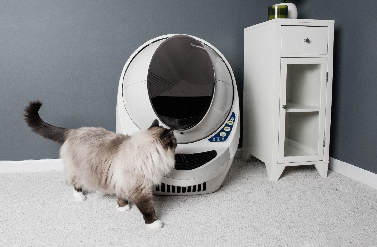 Custom Fit for Litter-Robot Beige Gentle Entry Into The Litter Box Helps Catch Tracked Litter for Senior Cats and Small Cats Litter-Robot Ramp
