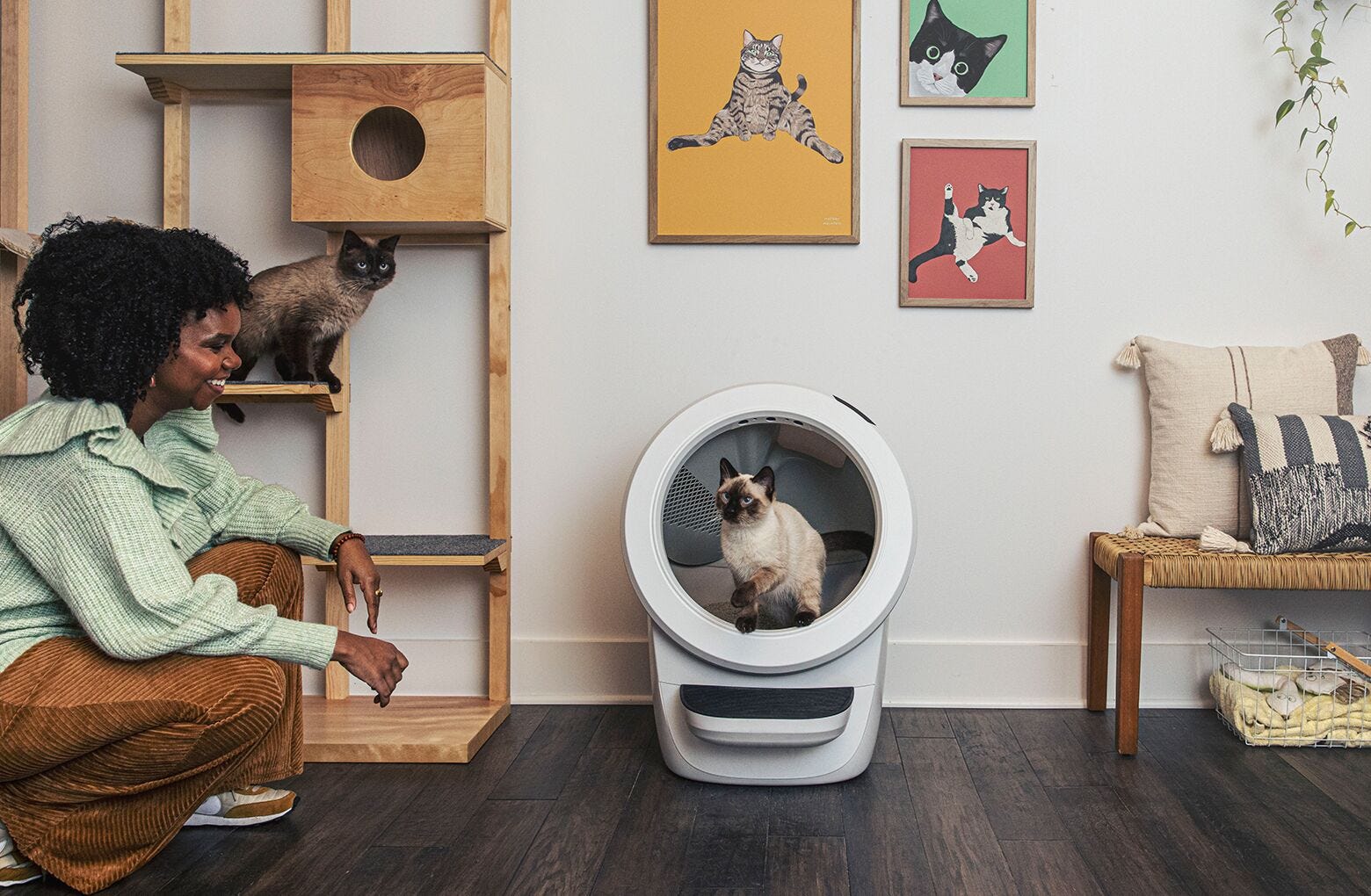 woman standing next to litter robot with Siamese cat inside