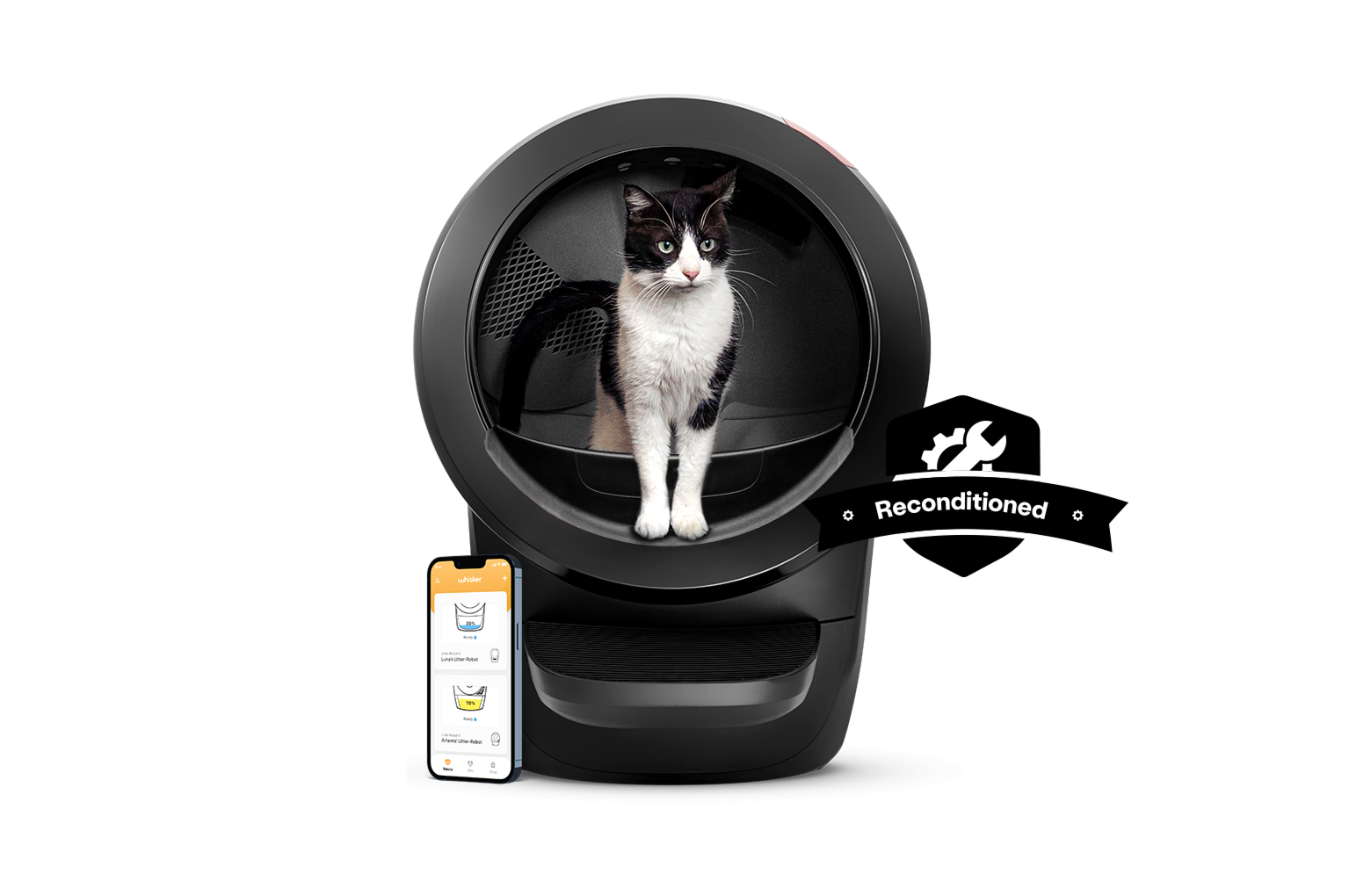 Black and white cat in the Litter-Robot 4 Reconditioned