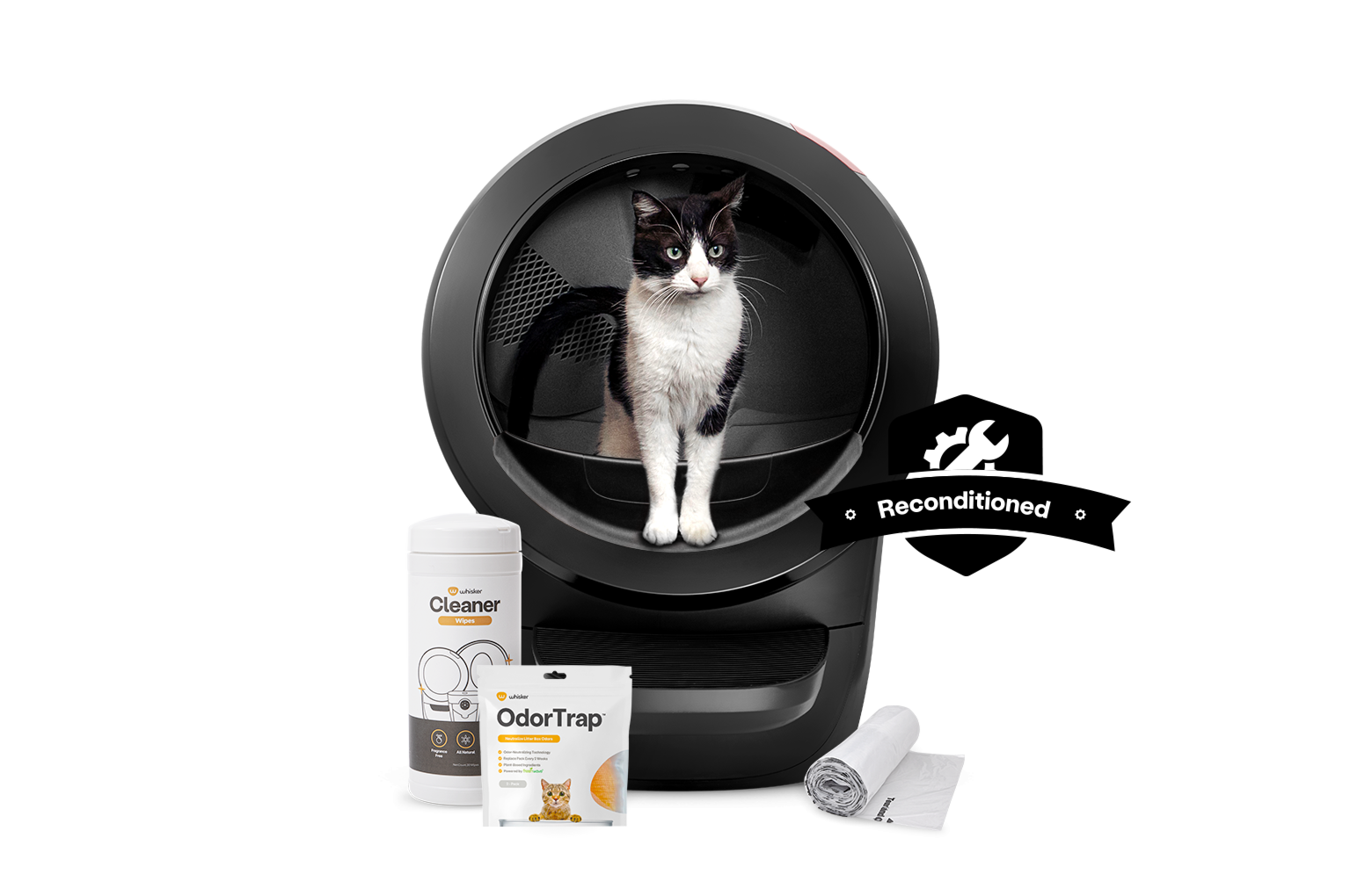 Black and White cat in an Litter-Robot 4-Reconditioned Bundle