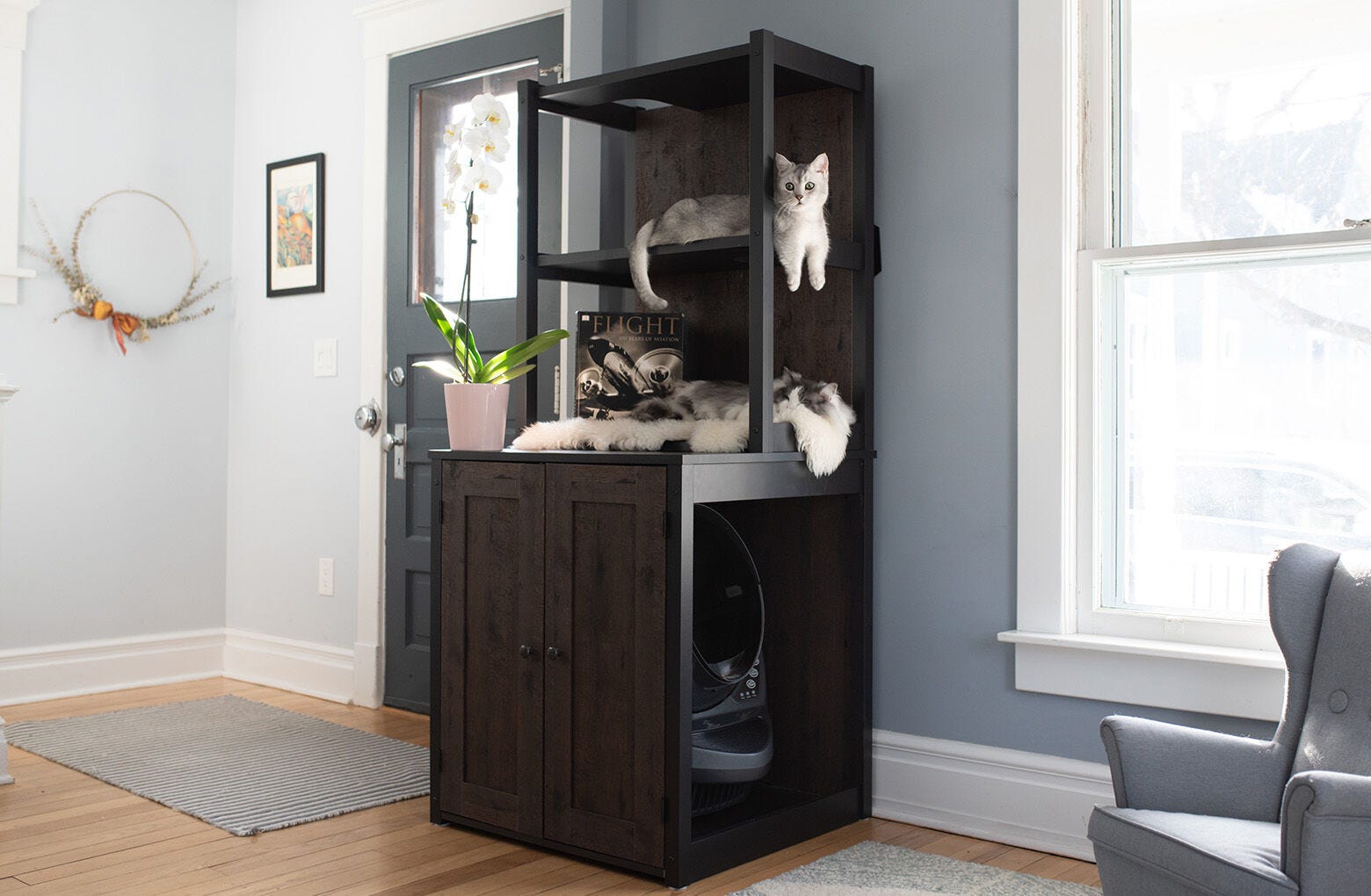 14 Best Cat Litter Box Furniture Pieces — Litter Box Enclosures