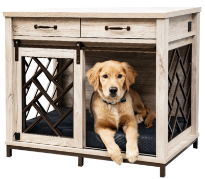 Golden Retriever sitting insider barn door dog crate