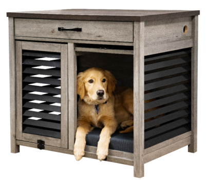 Golden Retriever sitting inside barrister dog crate