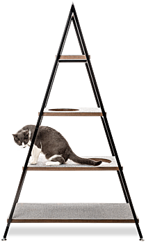 Grey cat sitting on second platform of cat pyramid