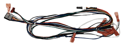 LR 2 Wire Harness