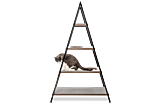 Cat Pyramid Image