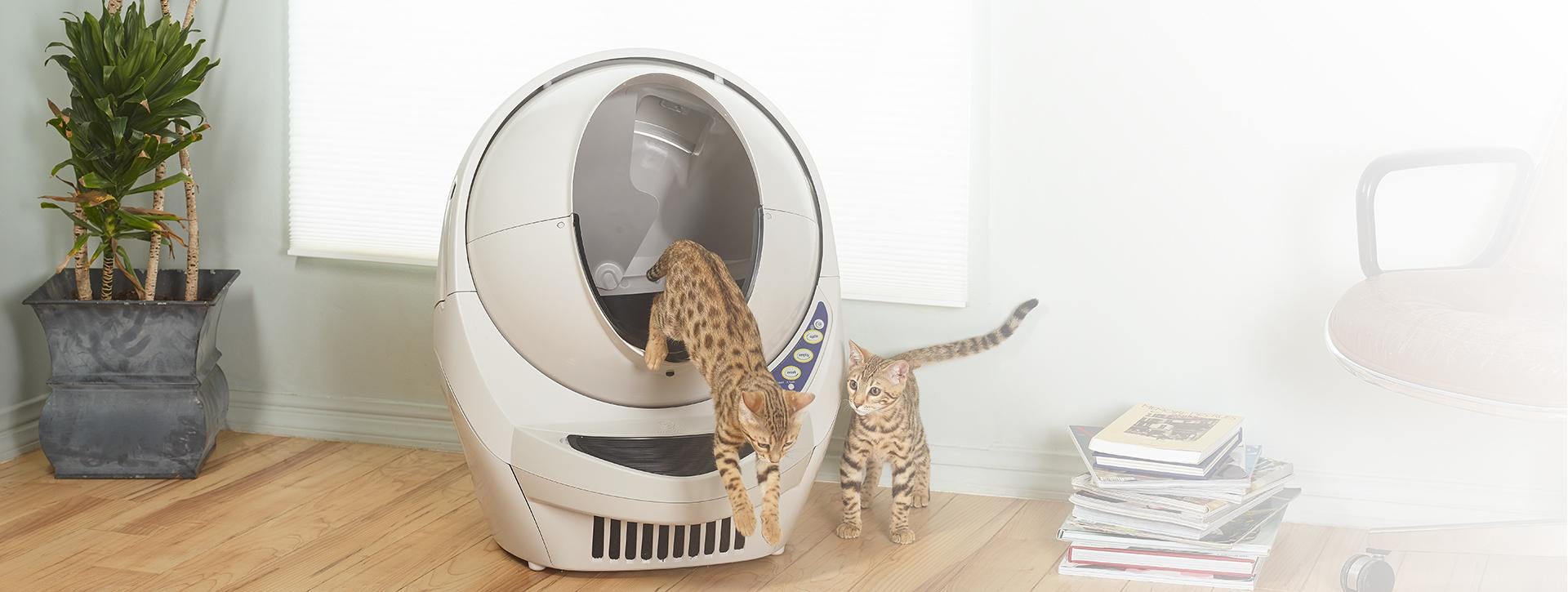 Automatic Self-Cleaning Litter Box for Cats | Litter-Robot™
