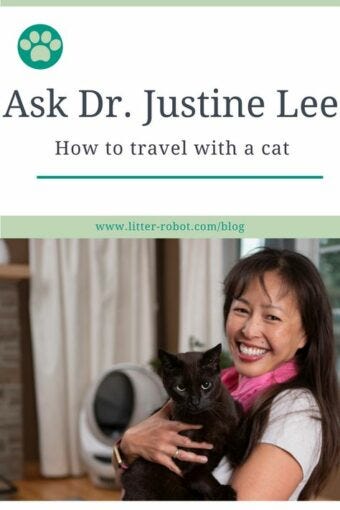 How To Travel With a Cat