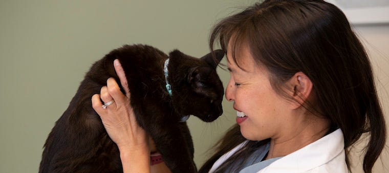 Dr Justine Lee holding black cat to her face