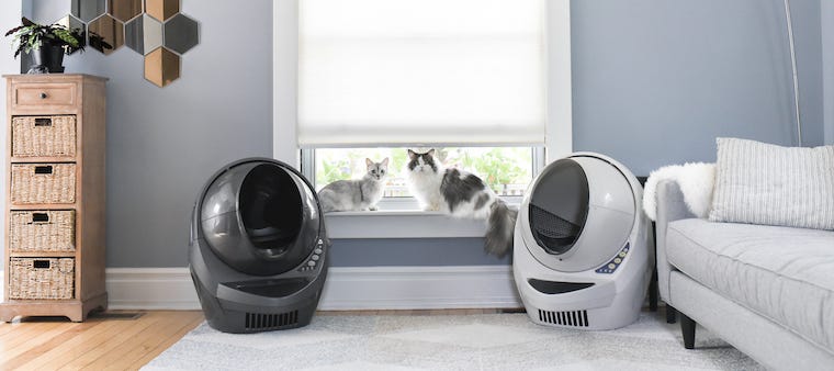 Cat Litter Box History: From Sandbox to Self-Cleaning Litter Box