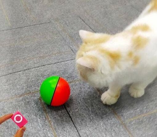 robot cat toy ball