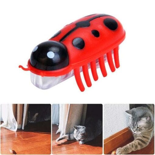 robot cat toy bug