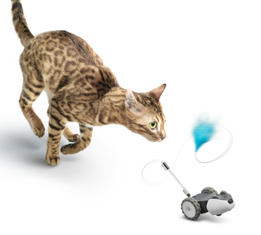 mousr robot cat toy