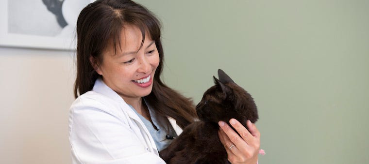 Dr Justine Lee holding black cat