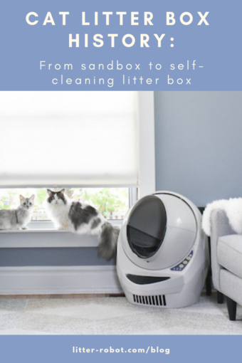 cat litter box history: from sandbox to self-cleaning litter box