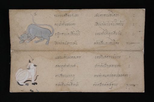 Tamra Maew illustration of Siamese cat